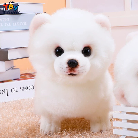 Animaux en peluche poméraniens, poupées, chiens, chiots, décoration pour la maison, cadeau d'anniversaire ► Photo 1/6