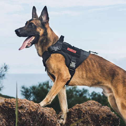 OneTigris-harnais pour chiens, gilet pour la marche, la chasse, la chasse, tactique, accessoire rigide résistant à l'eau, accessoire d'entraînement MOLLE pour chiens de Service ► Photo 1/6