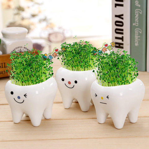 Pot à dents créatif en céramique, mignon, Pot de fleur de dessin animé, succulente, décoration de la maison, artisanat, cadeau de clinique dentaire, jouet ► Photo 1/6