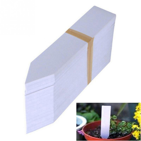 Étiquettes de plantes d'intérieur bonsaï, 100 pièces, Type de piquet en plastique, Pot de fleur de jardin, ornements de jardin, marqueurs 10x2cm ► Photo 1/6