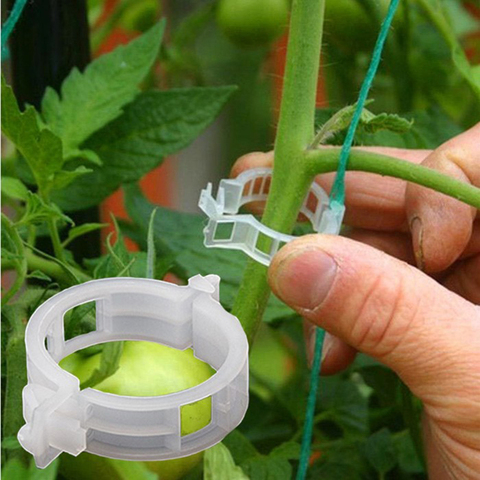 Applicateur de porte-tomate, 50 pièces, plante de Melon, boucle de plante, Clip de plante en plastique, pince à cravate, flexibilité, ne blesse pas les semis ► Photo 1/5