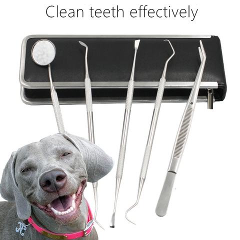 Outil de nettoyage des dents pour animaux de compagnie, élimination du tartre pour chien et chat, grattoir en pierre, outil de soins des dents, fournitures de toilettage et de lavage pour animaux de compagnie ► Photo 1/6