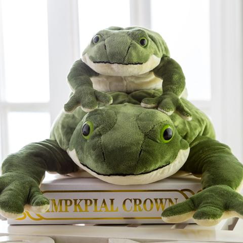 Grenouille en peluche douce, jouet Animal, poupée pour enfants, bébé ► Photo 1/1