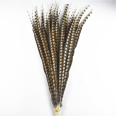 Plumes de faisan naturelles pour dame Amherst, 10-120cm/4-48 