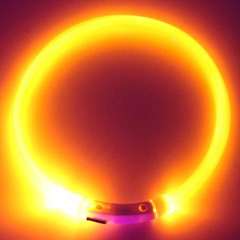 Collier Led Usb pour chien, Rechargeable, lumineux, pour la nuit, pour la sécurité ► Photo 1/6