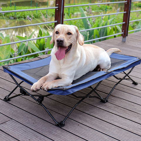 Grand lit pliant surélevé pour animaux de compagnie, lit de voyage Portable, maille de refroidissement respirante, lit pour chien ► Photo 1/6