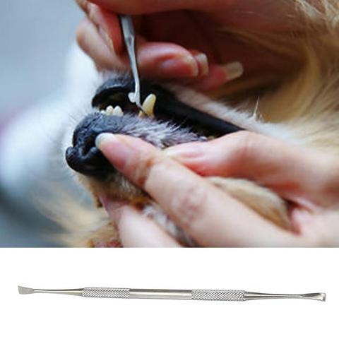 Grattoir pour les dents dentaires en acier inoxydable à Double tête, outil de nettoyage de la pierre de tartre, pour chien et chat, hygiène buccale ► Photo 1/6