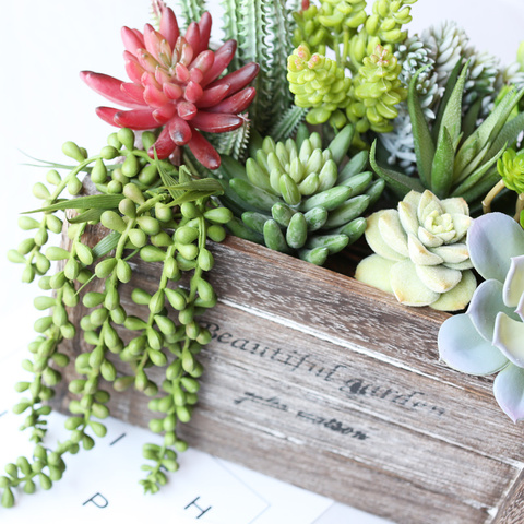 Divers Artificielle Plantes Succulentes Lotus Paysage Décoratif Fleur Mini Vert Faux des Plantes succulentes Jardin Arrangement Décor ► Photo 1/6