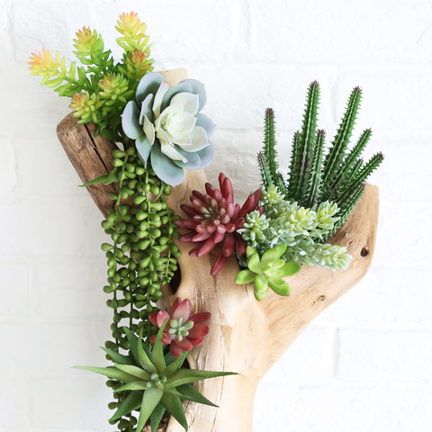 Mini bonsaï artificiel vert, 39 Styles, plantes succulentes pour décoration de jardin, maison, DIY ► Photo 1/6