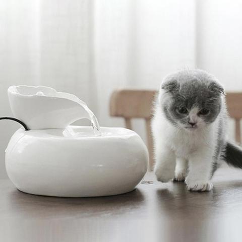 Distributeur d'eau automatique en porcelaine pour animaux de compagnie, fontaine de boisson bouteille d'alimentation, automatique de recyclage ► Photo 1/6