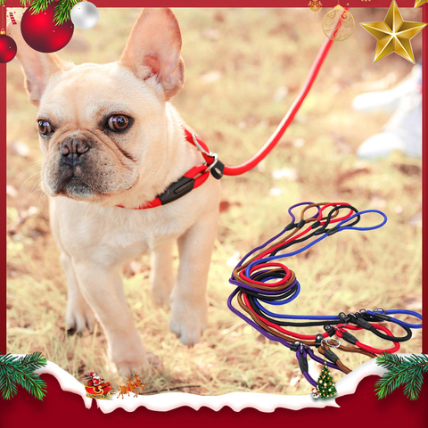 HOOPET Pet Produits D'or Teddy Chien De Traction Corde Chaîne Grand Collier de Chien P Chien Laisse Confortable Nylon Matériau 5 Couleurs ► Photo 1/6