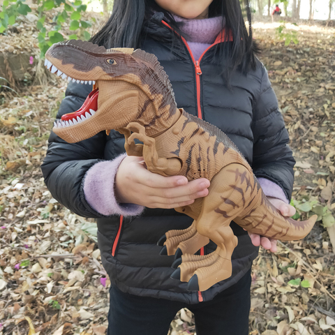 Jouet vaporisateur électrique dinosaure tyrannosaure Rex pour enfants, jeu de marche, lumières d'œufs, sons sonores, cadeaux d'anniversaire pour enfants ► Photo 1/6