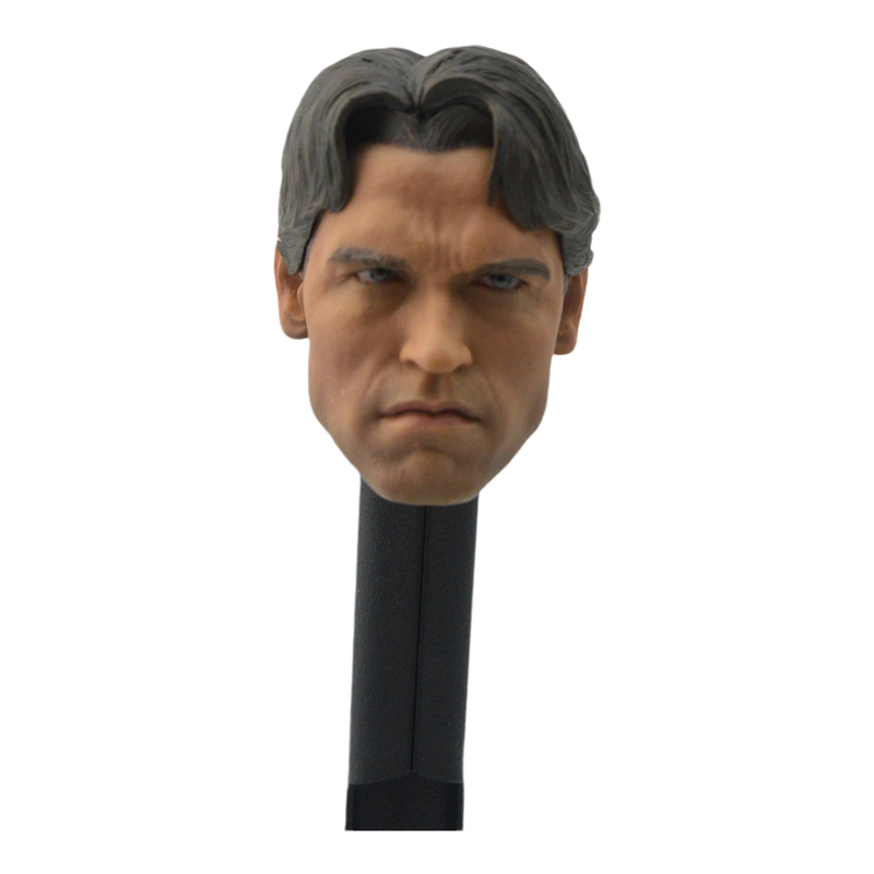 Sculpture de tête personnalisée T800, à l'échelle 1/6, Arnold Schwarzenegger, pour jouets chauds, corps ► Photo 1/1
