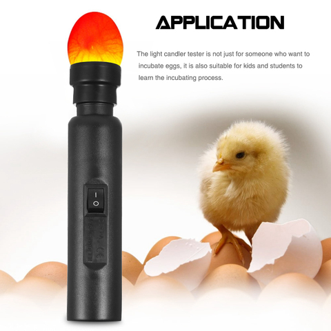 Oeuf Candler testeur lumineux Cool lumière LED oeuf Candler testeur entrepôt exclusif pour poulet caille volaille incubateur couveuse ► Photo 1/6