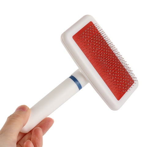 Brosse de Massage pour chiens chats | Brosse pour chiens, peigne de nettoyage, brosse de toilettage pour caniche, chiot maltais chaton cochon d'inde, lapin ► Photo 1/6