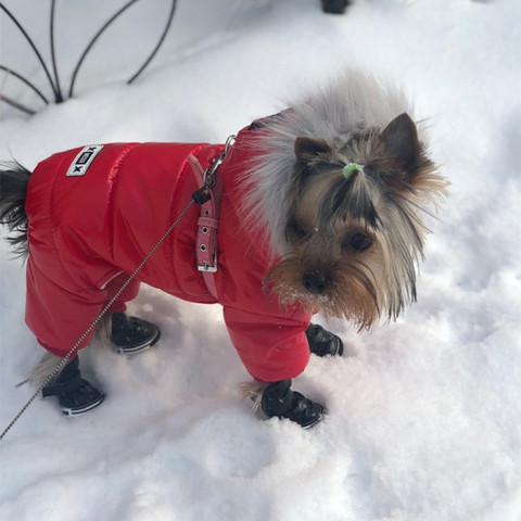 Vêtements d'hiver chauds pour animaux de compagnie, nouveau manteau d'hiver en peluche pour chien, veste à quatre pattes, combinaison pour chiot, Costume pour petit chien ► Photo 1/6