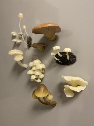 Autocollants figurines en pvc, jouet de type réfrigérateur, champignons fins, autocollants magnétiques, capsules, 8 pièces/ensemble ► Photo 1/1