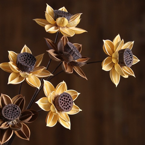 Fleurs séchées de Lotus naturel, 1 pièce, décoration de maison, fête de mariage, branche de fleur séchée, 55cm ► Photo 1/5