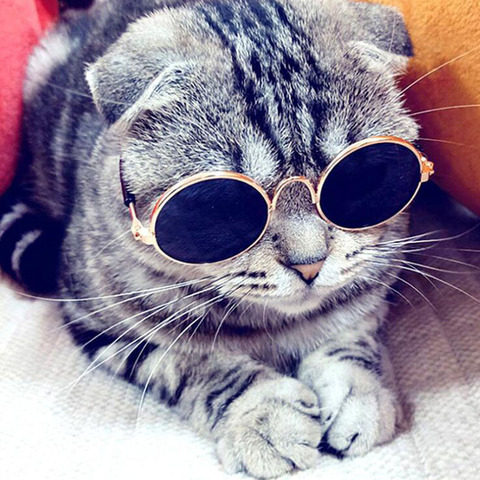 Produits pour animaux de compagnie belle Vintage ronde chat lunettes de soleil réflexion lunettes pour petit chien chat animaux Photos accessoires ► Photo 1/6