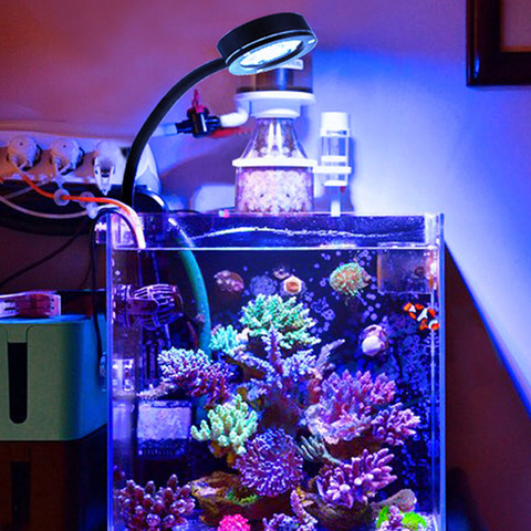 Lumière LED pour Aquarium Marine corail SPS LPS Aquarium récif de mer réservoir bleu blanc débutant 100v-240v pour 30-50 cm réservoir de mer ► Photo 1/6