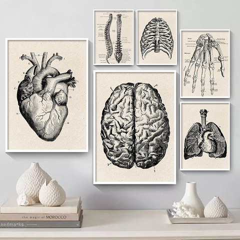 Vintage anatomie humaine affiche illustration médicale mur photo Muscle squelette toile impression peinture pour hôpital clinique décor ► Photo 1/6