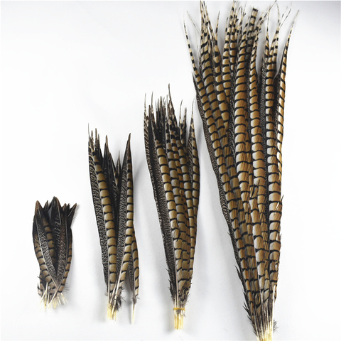 10 pièces/lot naturel dame Amherst faisan plumes pour artisanat 10-120CM 4-48 