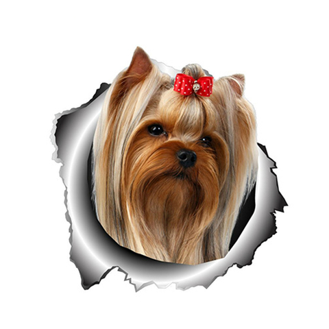 Autocollant en PVC pour Animal de compagnie, Animal de compagnie, chien, Yorkshire Terrier, déchiré, en métal, style de voiture, Automobiles, accessoires extérieurs de motos, décalcomanie ► Photo 1/2