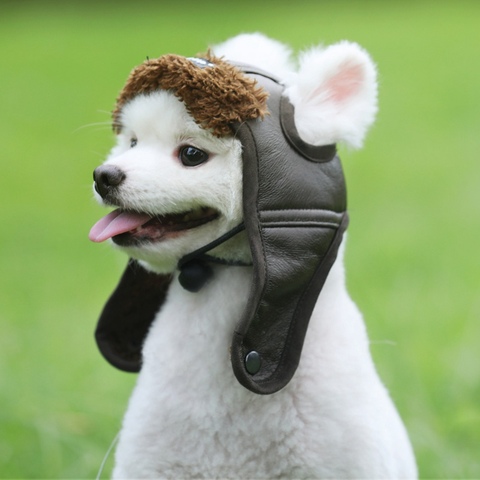 Chapeau de pilote en cuir pour chien, chapeau chaud pour grand chiot, amusant, Cosplay, cadeau de noël pour chien ► Photo 1/6