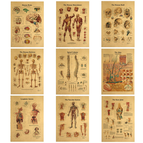 La Structure du corps squelette système nerveux affiche Vintage décoration médicale peinture Art mural papier Kraft affiches Stickers muraux ► Photo 1/6