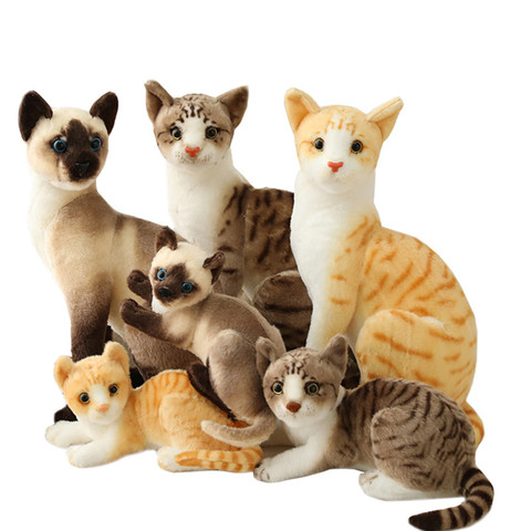 Simulation oreiller américain Shorthai et siamois chat en peluche et peluche réaliste poupée Animal jouets pour animaux de compagnie pour enfants décor à la maison bébé cadeau ► Photo 1/6