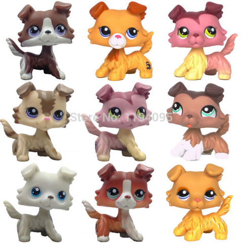 Lps – jouets pour animaux de compagnie, chat Collie, chiens rares, animaux de compagnie ► Photo 1/6