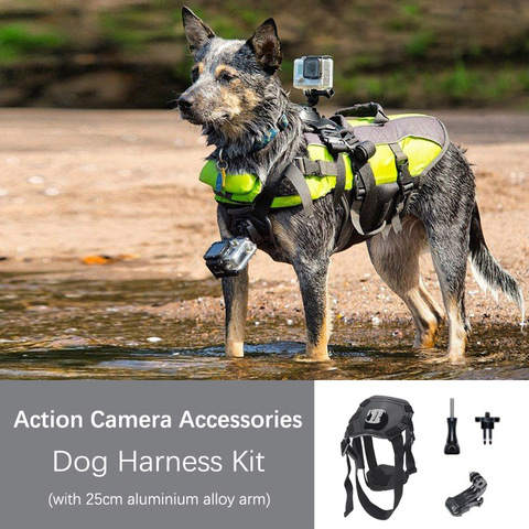 TUYU – harnais de poitrine pour chien, pour GoPro Hero 8 7 5 Session SJCAM SJ4000 Yi 4K H9 DJI Insta360, caméra d'action, accessoire ► Photo 1/6