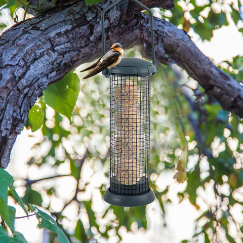 Mangeoire pour oiseaux boule à graisse | Distributeur d'aliments d'extérieur pour petits oiseaux sauvages, Station d'alimentation suspendue, mangeoire pour oiseaux ► Photo 1/6