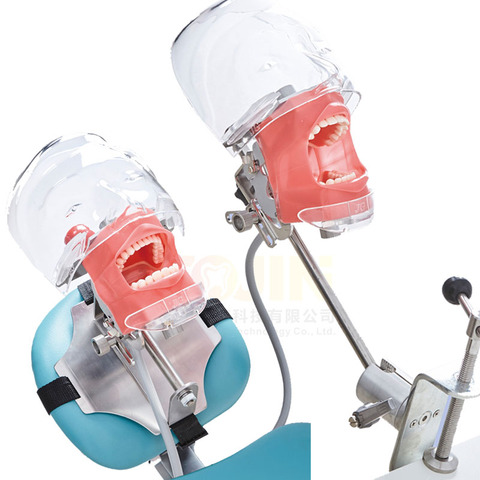 Simulateur dentaire, modèle de tête Simple, tête fantôme, pour l'éducation de dentistes, enseignement de dentistes, équipement d'entraînement ► Photo 1/6