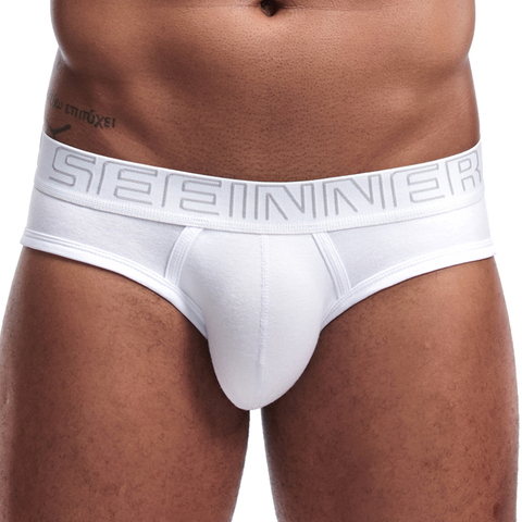 Offre Spéciale hommes sous-vêtements hommes slips coton respirant Homme culottes Cueca Tanga U poche confortable caleçon Slip Homme ► Photo 1/6