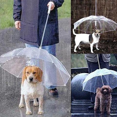 Chien marche imperméable à l'eau couvercle transparent intégré laisse pluie gneau neige parapluie pour animaux de compagnie produits pour animaux de compagnie ► Photo 1/6