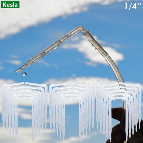 KESLA 50 pièces 4/7mm 1/4 ''tuyau Transparent courbure flèche goutteurs goutte émetteur jardin en pot Irrigation outil d'arrosage serre ► Photo 1/6