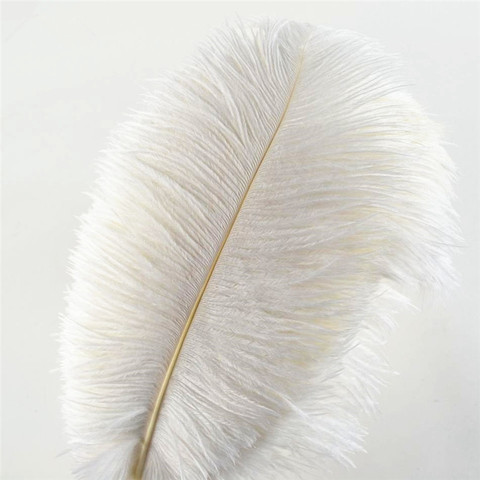 Plumes d'autruche blanches élégantes, 15-75cm, pour l'artisanat, fournitures de fête de mariage, la décoration des danseuses du carnaval ► Photo 1/6