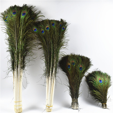 Plumes de paon naturelles réelles pour décoration de 25 à 80cm, lot de 50 pièces, plumes pour artisanat, décoration artisanale, pour la maison et l'hôtel, accessoire de mariage ► Photo 1/6