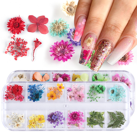 Mélanger fleurs séchées décorations pour ongles bijoux naturel feuille florale autocollants 3D Nail Art conçoit vernis manucure accessoires TRF01-10 ► Photo 1/6