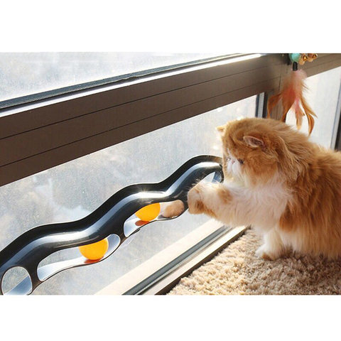 Jouet de Tennis de Table à fenêtre pour chat, ventouse, avec Tube, Tunnel, accessoire ► Photo 1/6