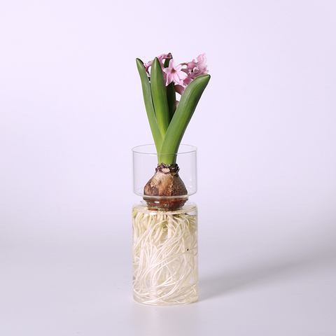 Vase de fleur en verre transparent | Porte-plante hydroponique, Vase de bourgeon pour petites fleurs ► Photo 1/6