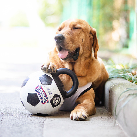 Ballons de Football gonflables avec poignées pour grands chiens, jouets d'entraînement pour animaux de compagnie ► Photo 1/6