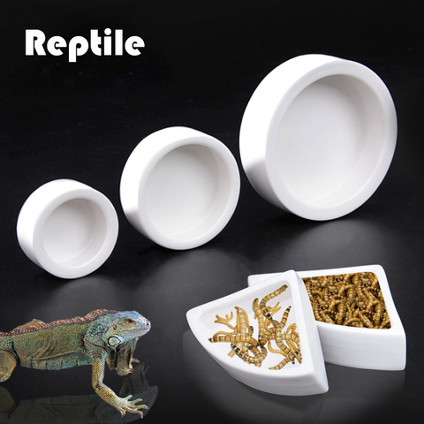 Bol d'alimentation en céramique pour Reptile, bol d'alimentation pour tortue, lézard, serpent, bassin Gecko caméléon ► Photo 1/5