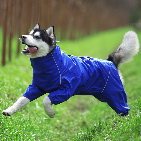 Manteau imperméable à capuche pour chiens de compagnie, pour petits et grands chiens, fermeture éclair réfléchissante, vêtements imperméables, cape à col haut, combinaison Labrador ► Photo 1/6