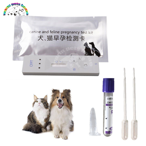 Bandelette de Test de grossesse pour chien et chat, carte de Test de grossesse pour chien et félin, Kit de Test de grossesse, fournitures vétérinaires ► Photo 1/5