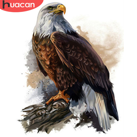 HUACAN image par numéro aigle dessin toile acrylique cadeau décor à la maison peinture à l'huile par numéro Animal peint à la main mur Art ► Photo 1/6