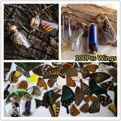 Ailes de papillon 100 pièces/ensemble véritables échantillons naturels, bijoux à faire soi-même, artisanat à la main, Happy ING ► Photo 1/6