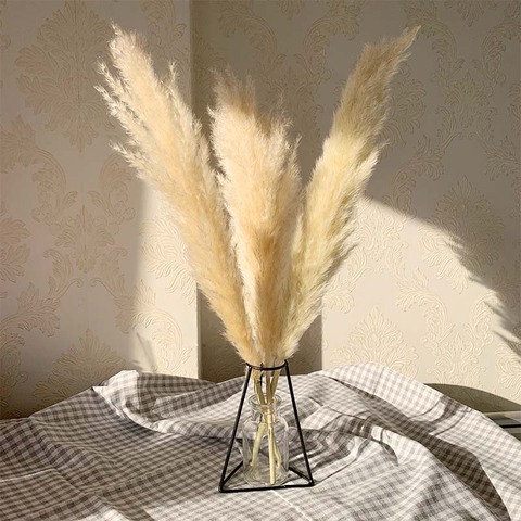 55cm pampas grass herbe séché décor Extra grand naturel fleurs séchées Bouquet fleurs de mariage Style Vintage pour la maison saint valentin cadeau ► Photo 1/6