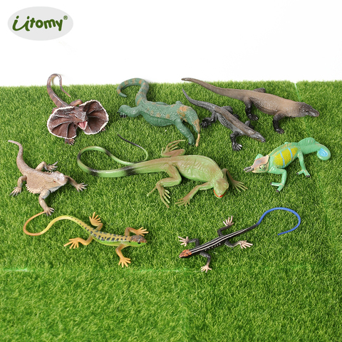 Figurines animaux amphibies réalistes peintes à la main, modèle de Komodo Dragon barbu caméléon lézard, Figurine éducative pour enfants ► Photo 1/6